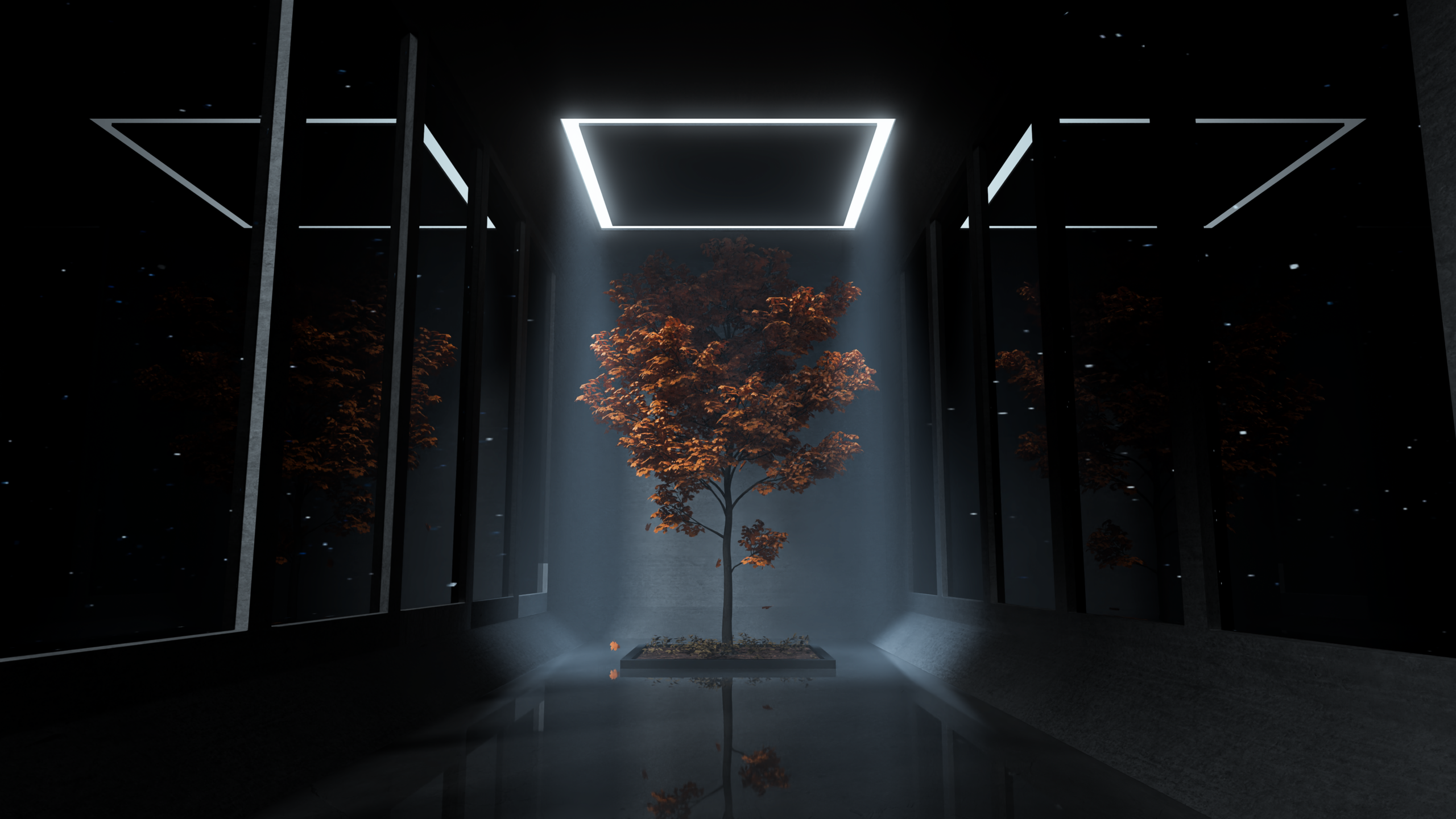 Test Project 3